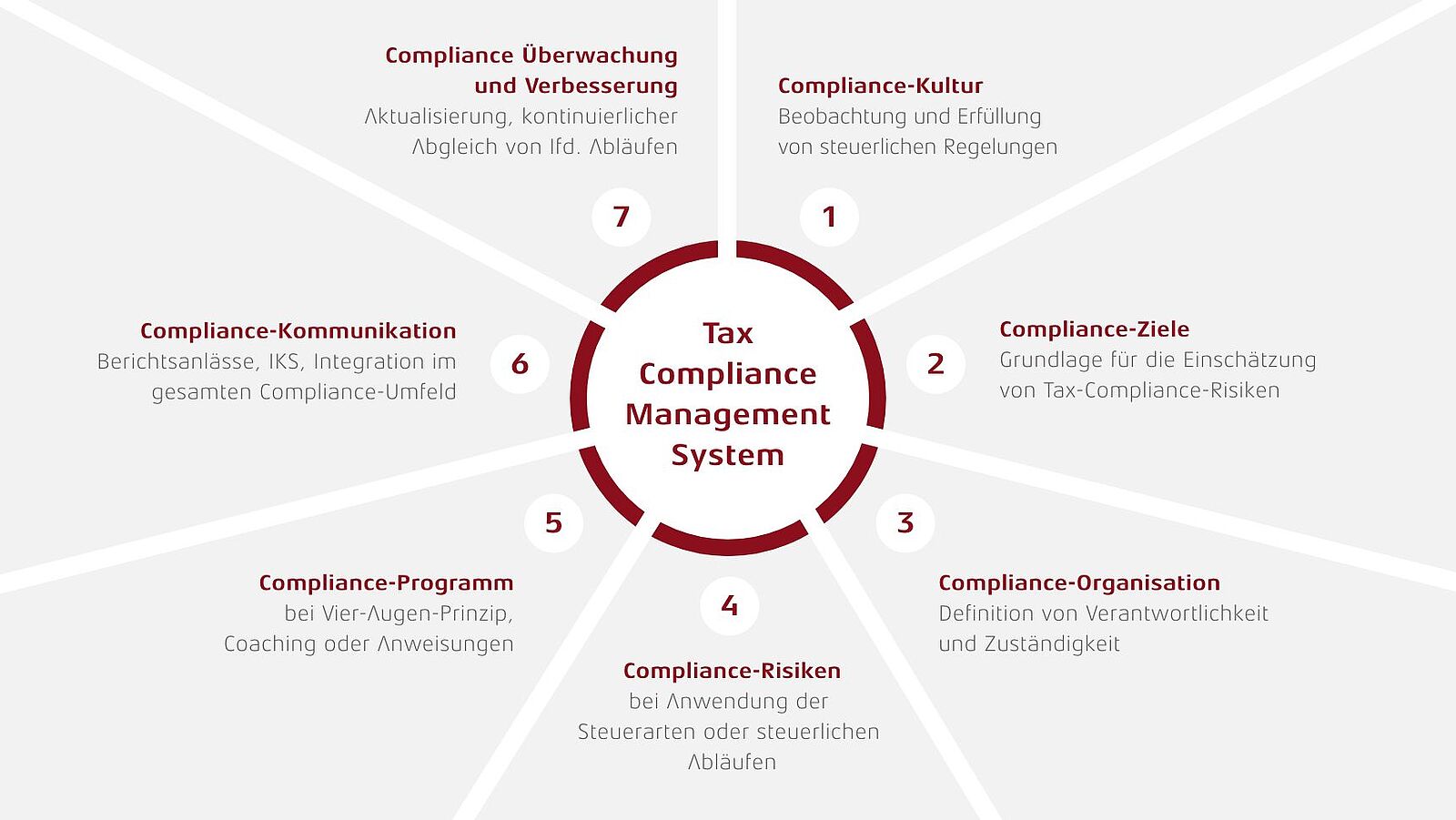 Tax Compliance Managament System in 7 Schritten
